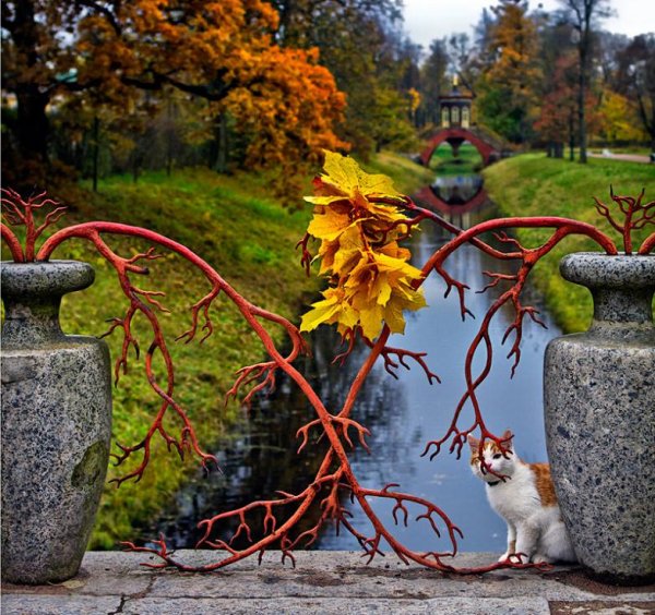 Осенние причуды