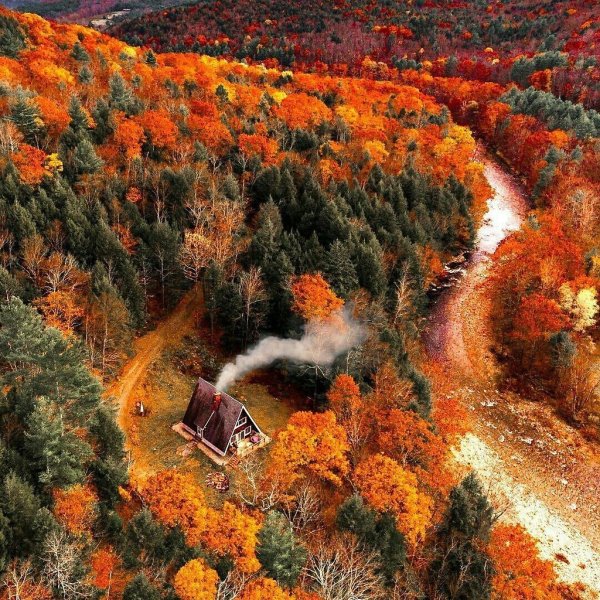 Осенние карикатуры