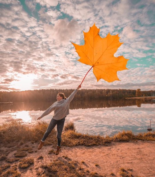 Чудеса осени