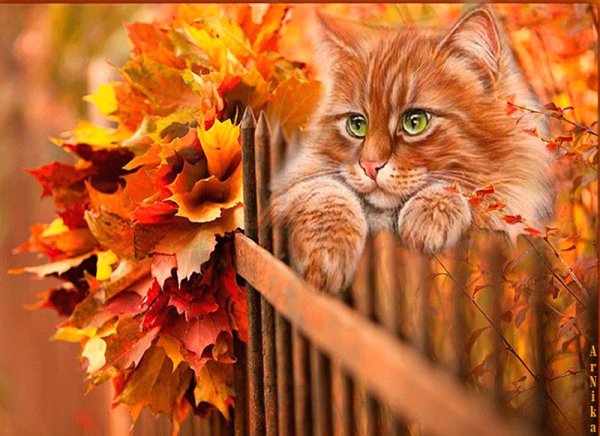 Доброе осеннее утро прикольные