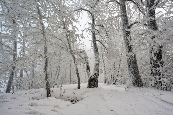 Художник Басов Сергей зимние пейзажи