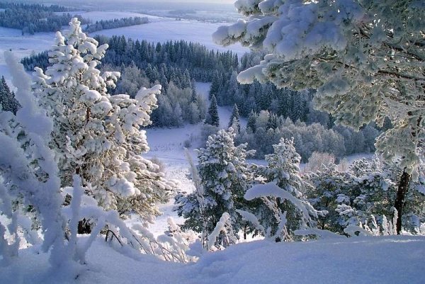 Зимние дороги