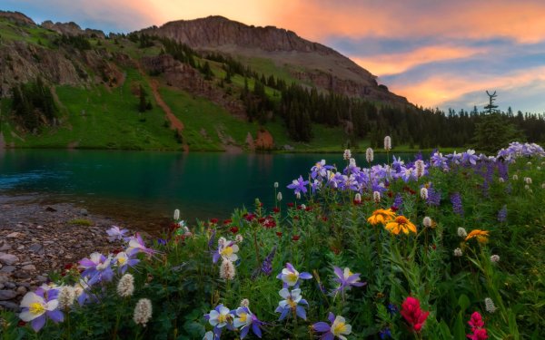 Горы лес озеро река Долина цветы