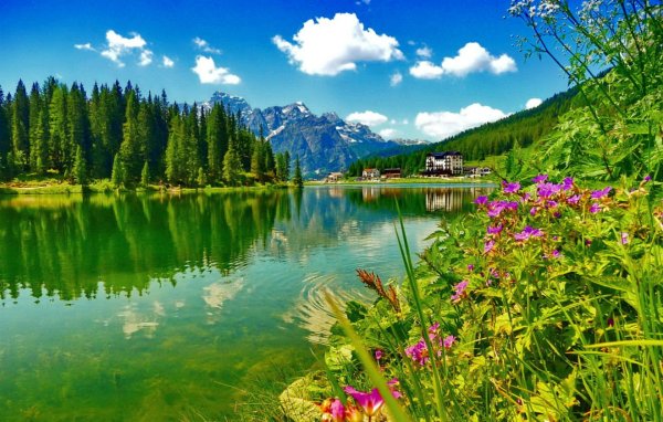 Горы лес озеро река Долина цветы