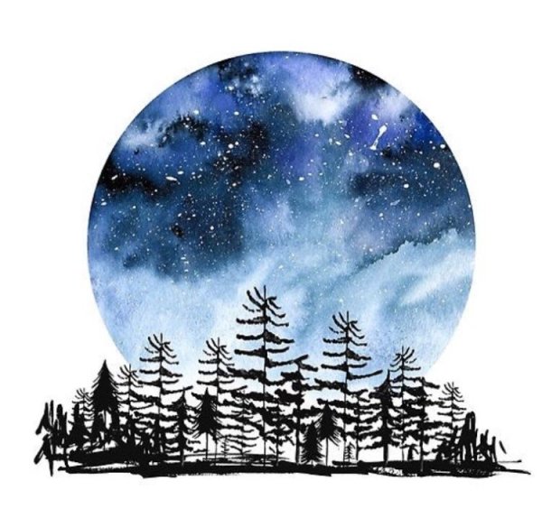 Круг в природе