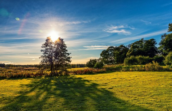 Солнечная природа