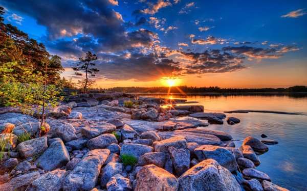 Спокойная природа