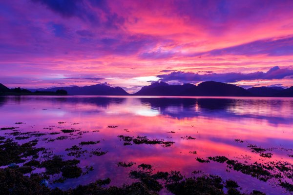 Фиолетовый закат