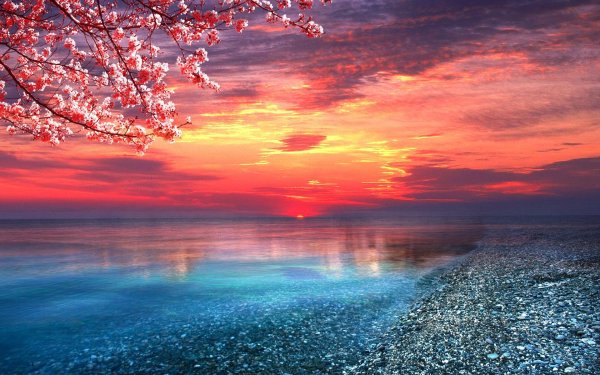 Красивые картинки для фона