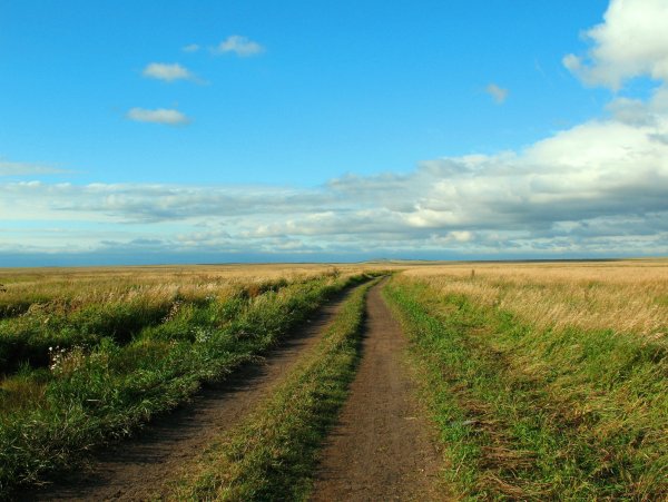 Дорога в степи Казахстана