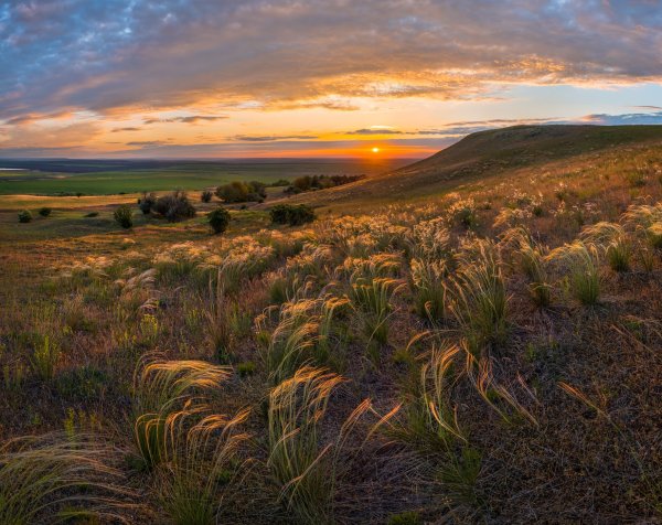 Федор Лашков природа Ставропольского края