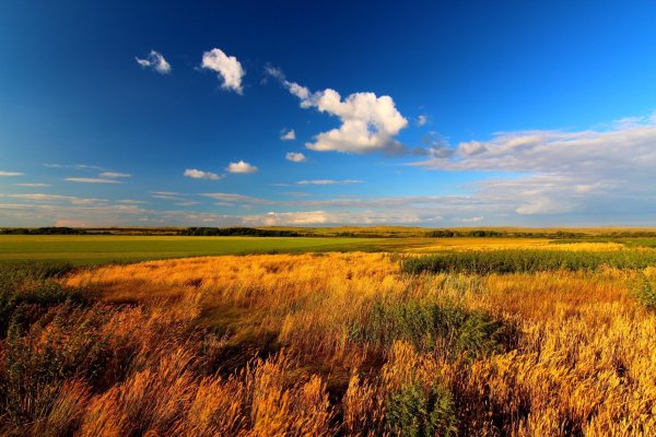 Федор Лашков ковыль степь горы