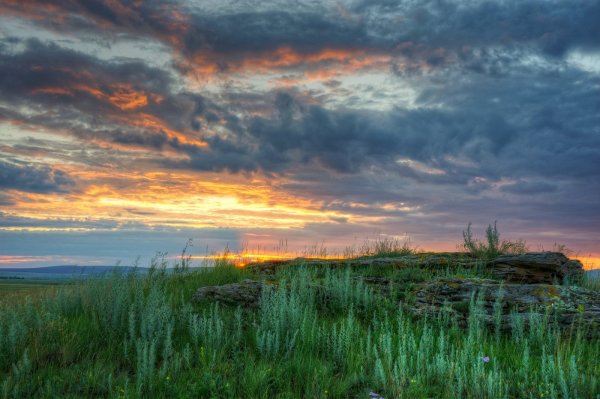 Рассвет в степи Саврасов