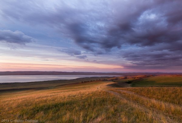 Степная зона России