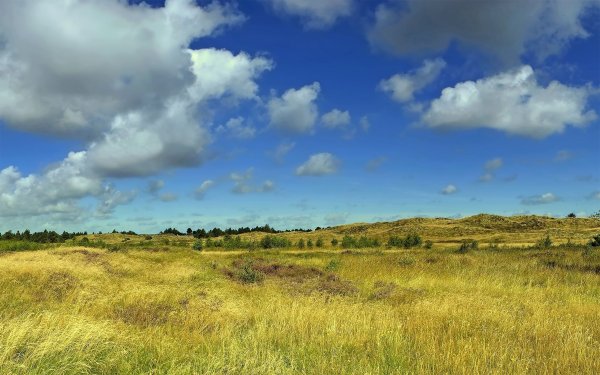 Среднерусская лесостепь