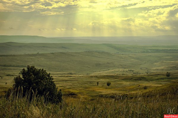 Степи Ставрополя Ставрополья