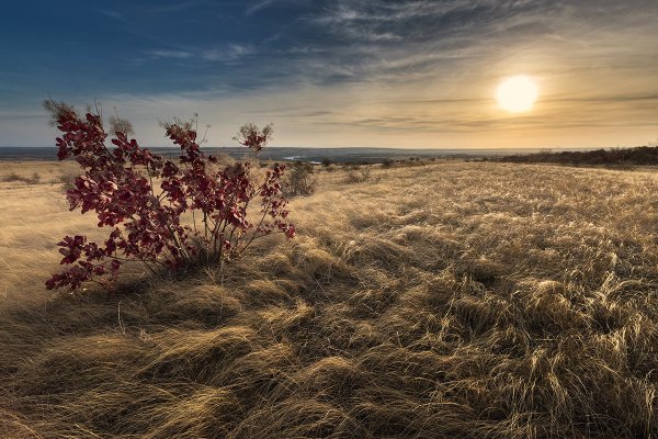 Пейзаж степи