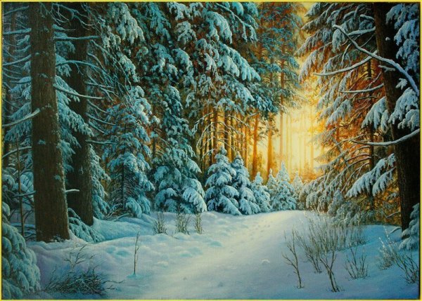 Зимний пейзаж Александр Болотова