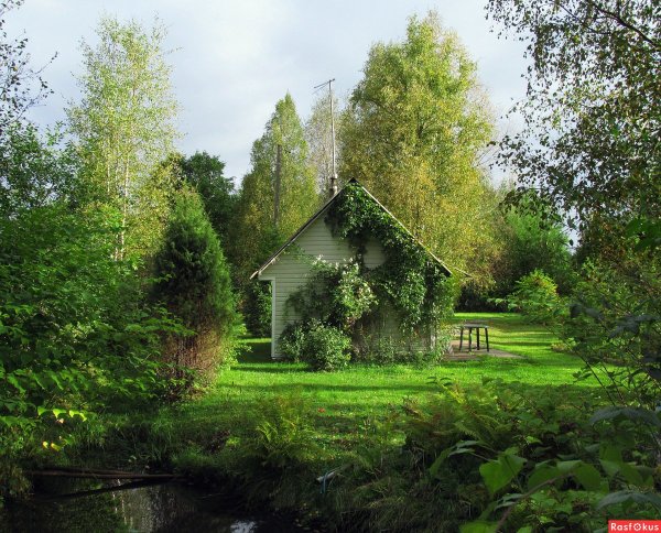 Дачный пейзаж