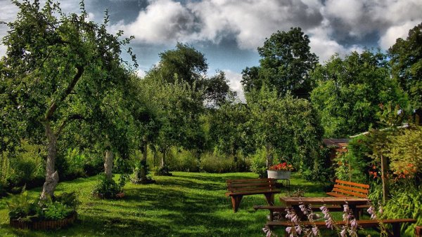 Сад в деревне