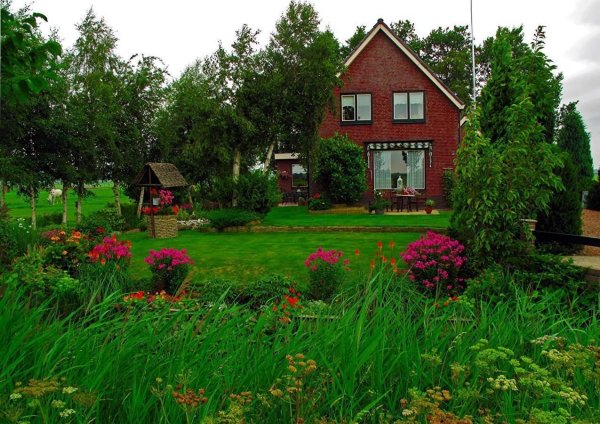 Дачный участок