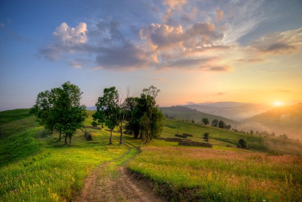 Поля Долина Грузия