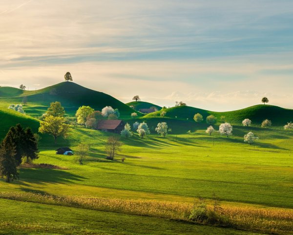 Пейзаж панорама