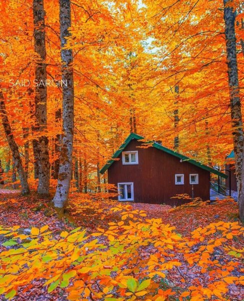 Осень домик