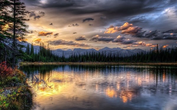 Профессиональные пейзажи