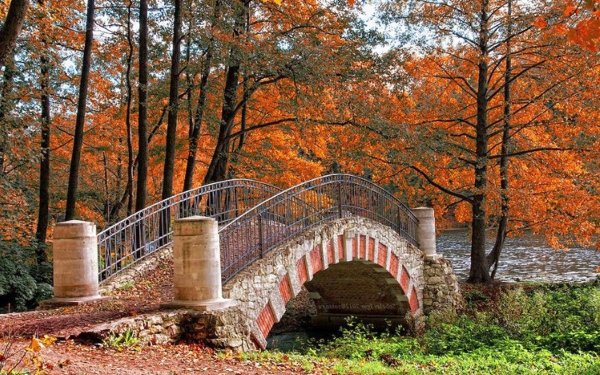 Парк Монрепо мостик