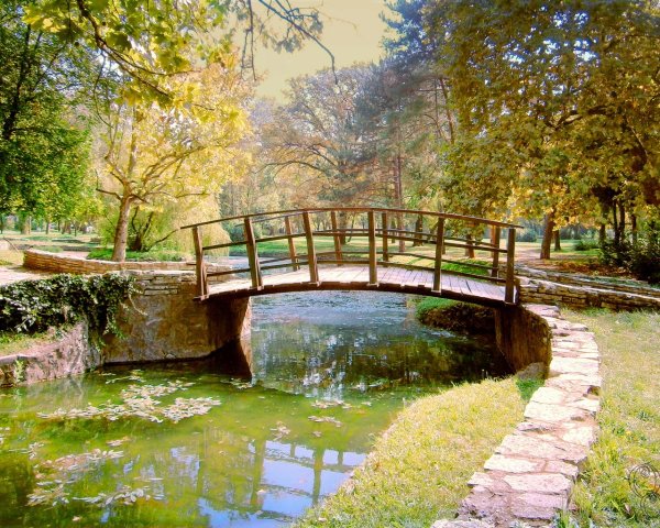 Пруд с мостиком парк Бориса Лосева