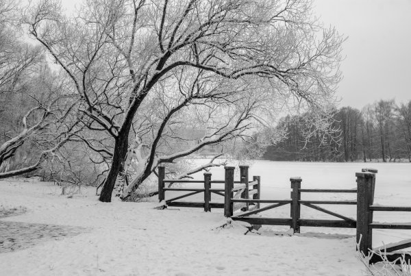 Пейзаж черно белый зима