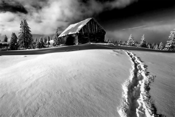 Черно белая зима