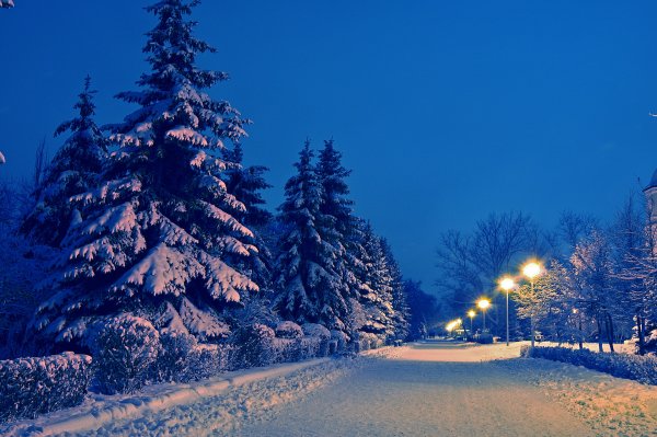 Зимний вечер