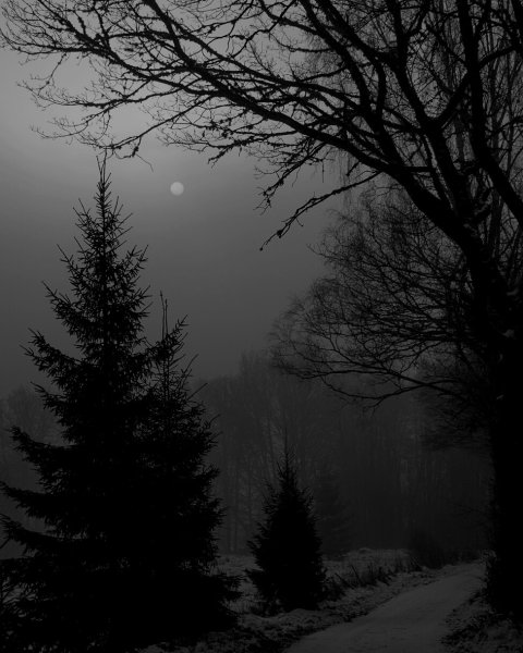 Мрачный пейзаж