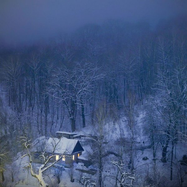 Мрачный зимний лес