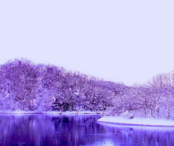 Зимний пейзаж в сиреневых тонах