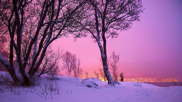 Зимний пейзаж в сиреневых тонах