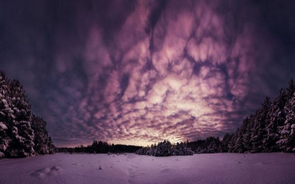 Зима в сиреневых тонах