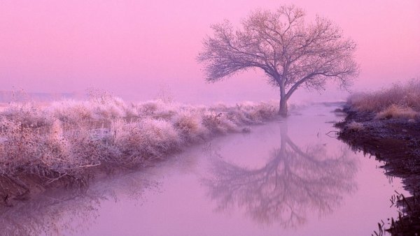 Пейзаж в фиолетовых тонах