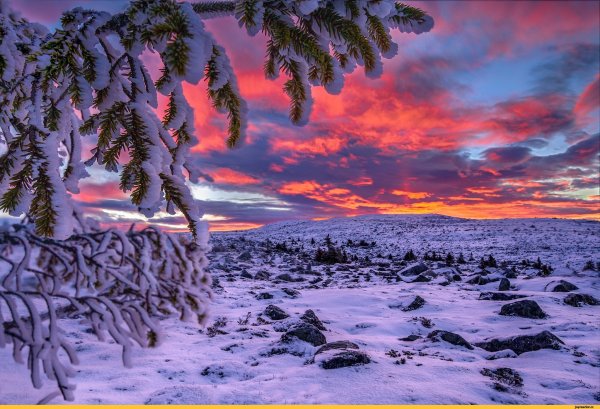 Jorn Allan Pedersen(Норвегия)