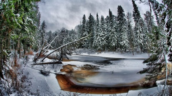 Удивительные зимние пейзажи