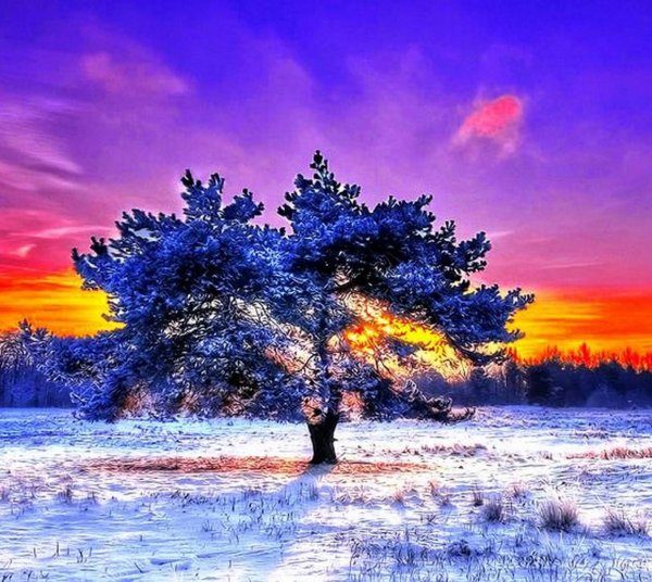 Зимний рассвет пейзаж