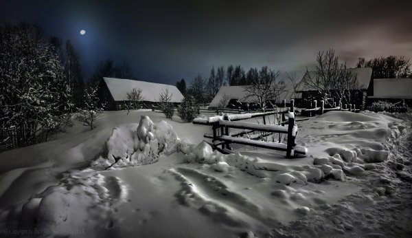 Птицы художник Сергей Евгеньевич Бессонов