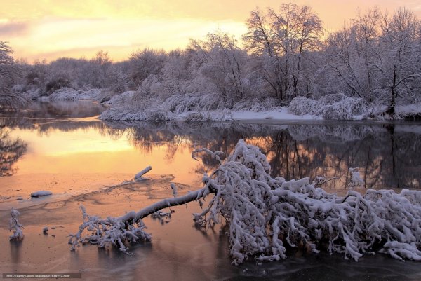 Живопись Неогради Ласло