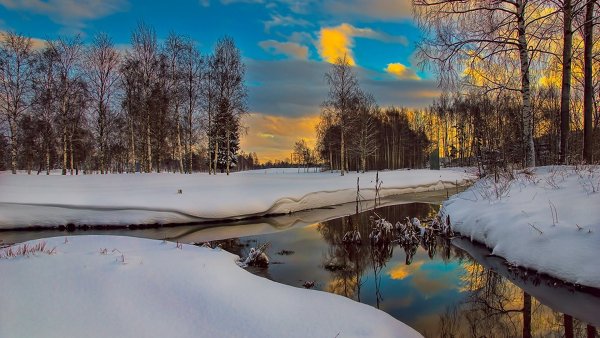 Белорусский художник Слободан.