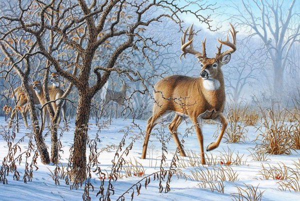 Художник Larry Zach