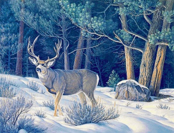 Художник Paul Krapf.