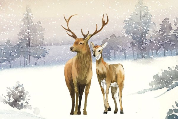 Иллюстрация с изображениями оленей