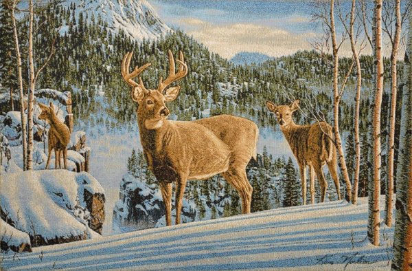 Художник Ким Норлиен (Kim Norlien).